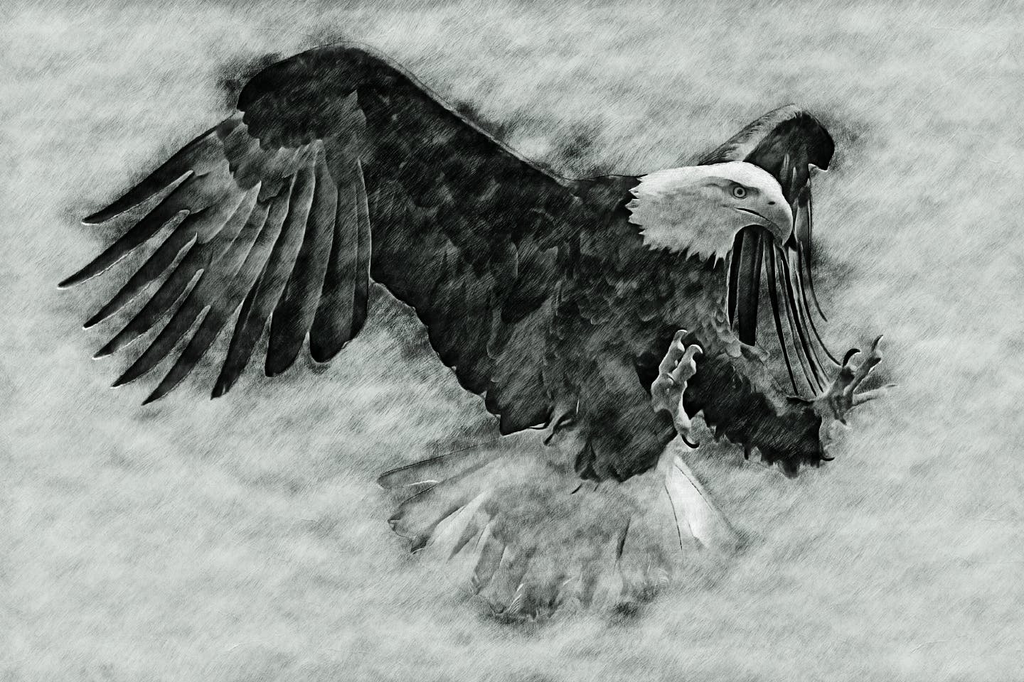 1602690113-b3fdcc167b9f5b2