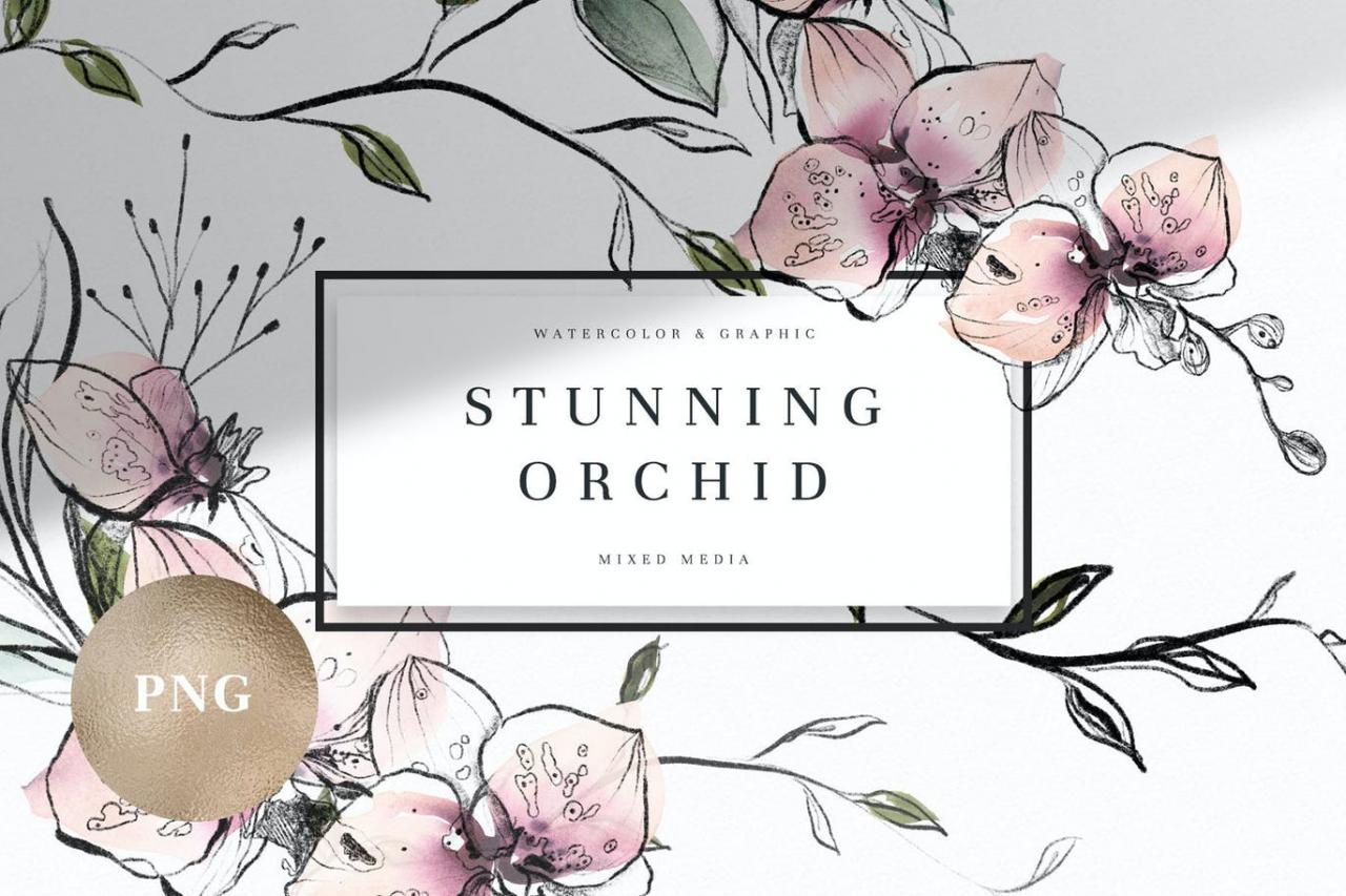 清新手绘水彩兰花组合插图素材 Watercolor Stunning Orchids