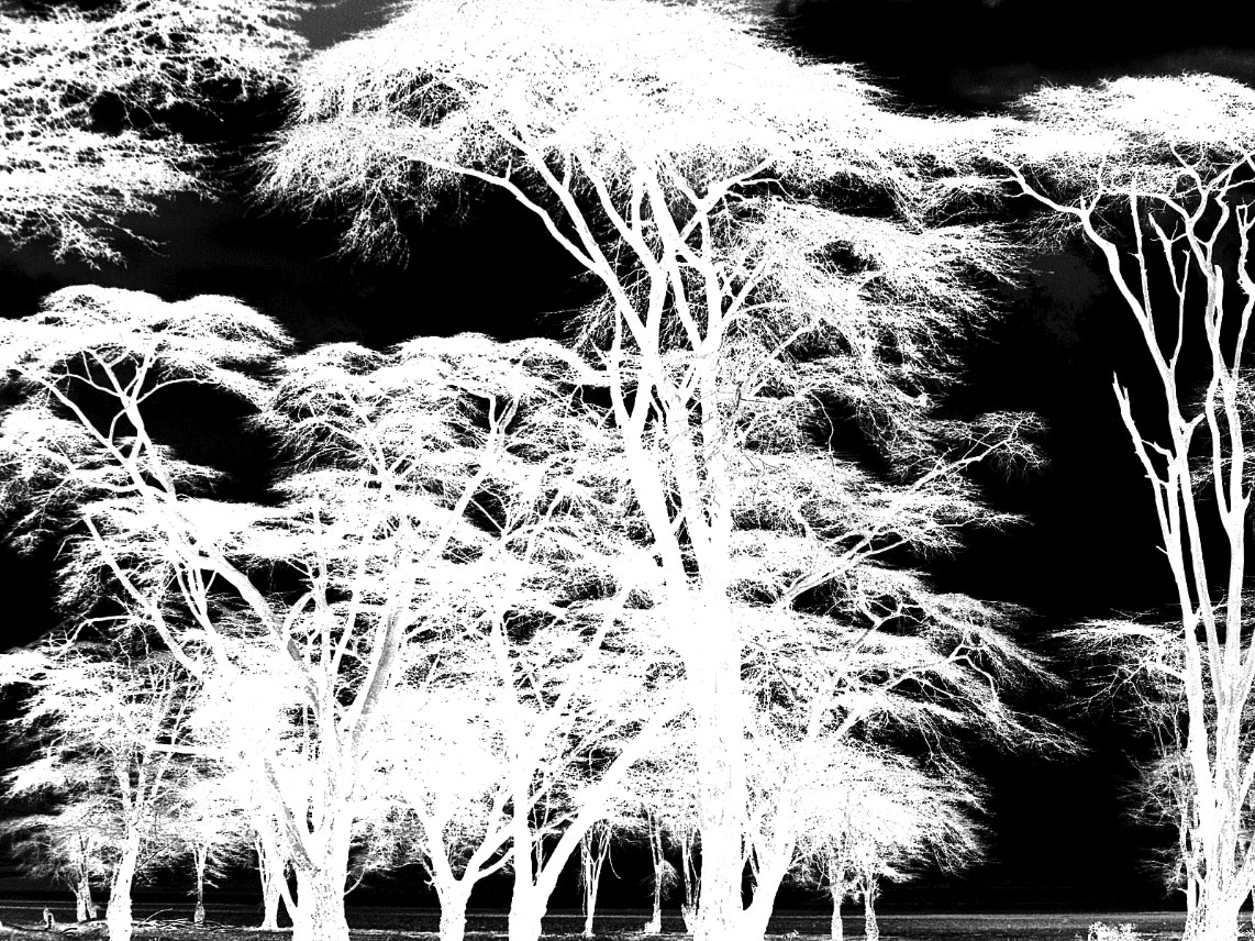1621822732-a11973b50c6eab9