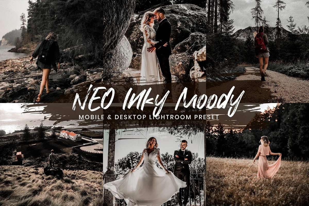 夏季旅行博客移动预设Lightroom 预设ACR预设 TikTokers Color Neo Inky Moody插图