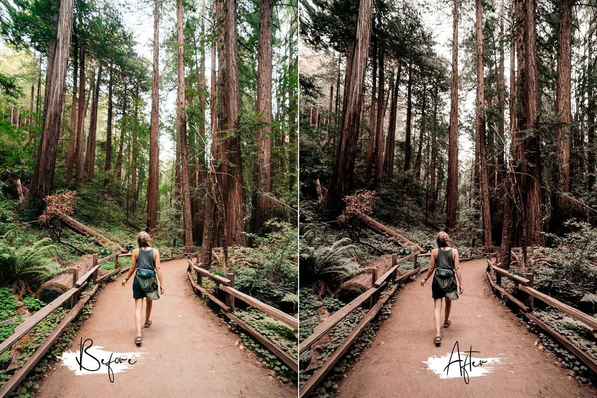 夏季旅行博客移动预设Lightroom 预设ACR预设 TikTokers Color Neo Inky Moody插图7