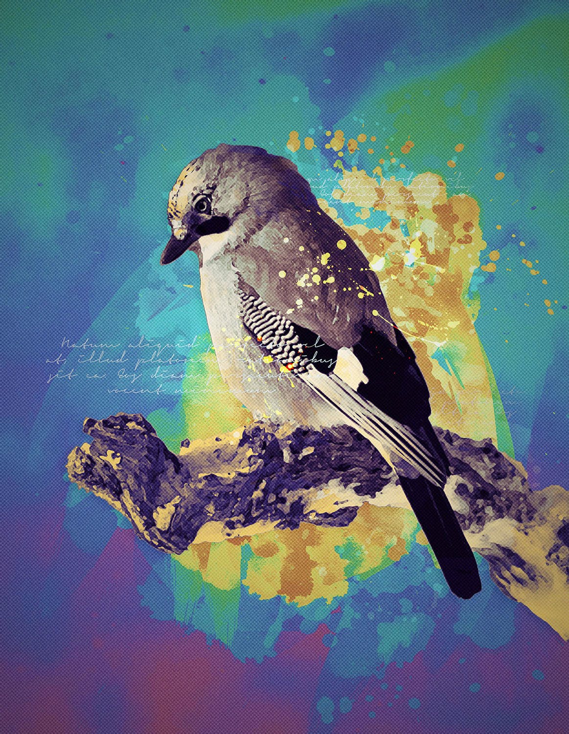 1631148348-a7e1ad3dc81a4a3