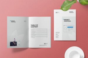 专业的高品质时尚高端项目提案VIsheji品牌手册画册宣传册杂志设计模板