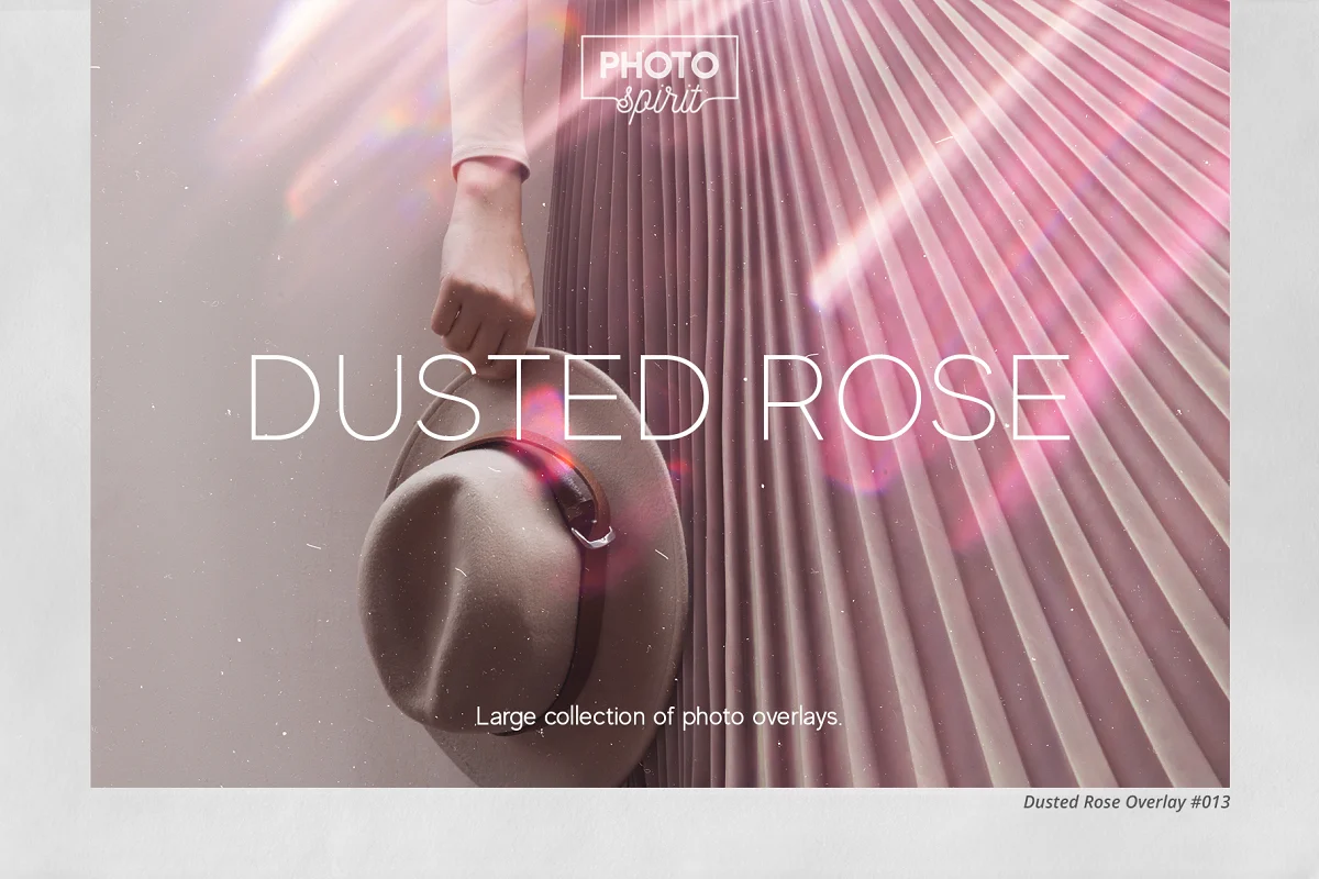 40 个粉状玫瑰叠加层透明玫瑰叠加层PS动作素材插图